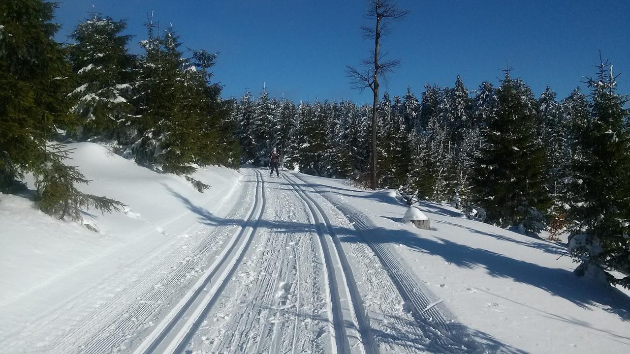 Penzion Eliska بيتريكوفا المظهر الخارجي الصورة